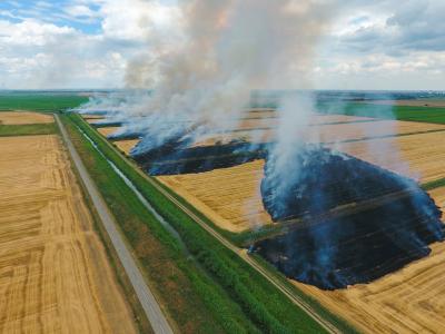 agriculture burning in wheat field