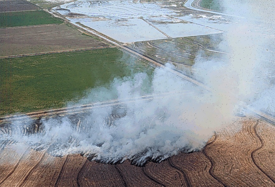 Agricultural Burn